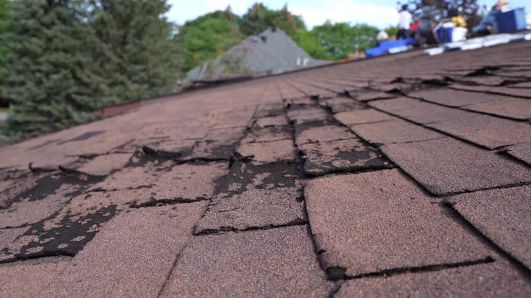 Trusted Imperial, MO Roofing Services Experts